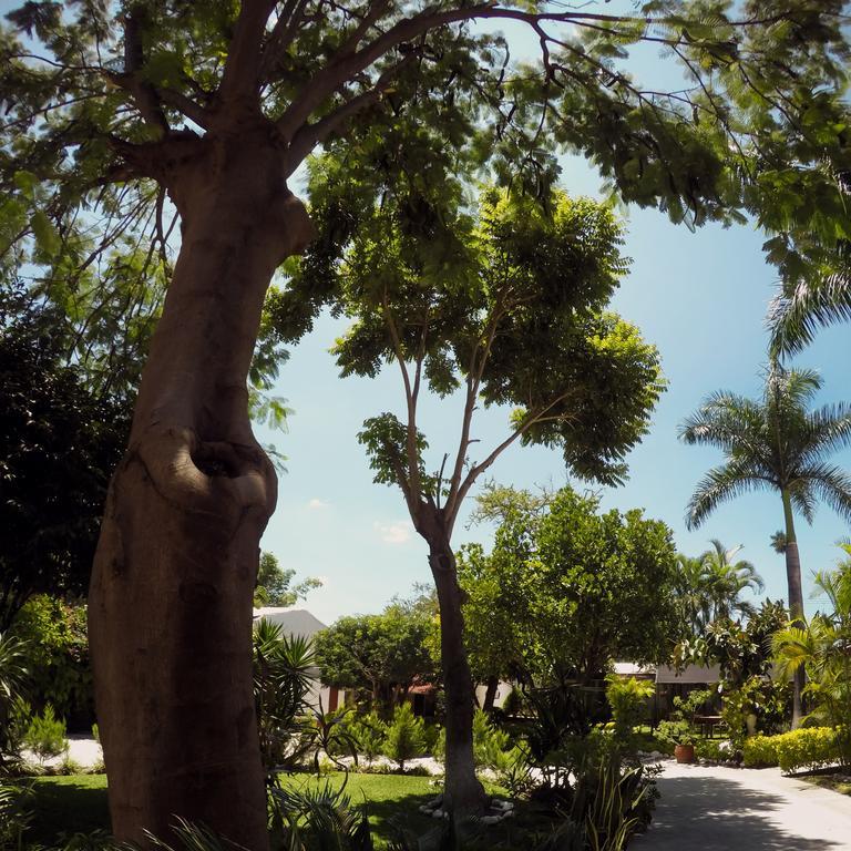 Suites La Flor Sagrada Xochitepec Ngoại thất bức ảnh