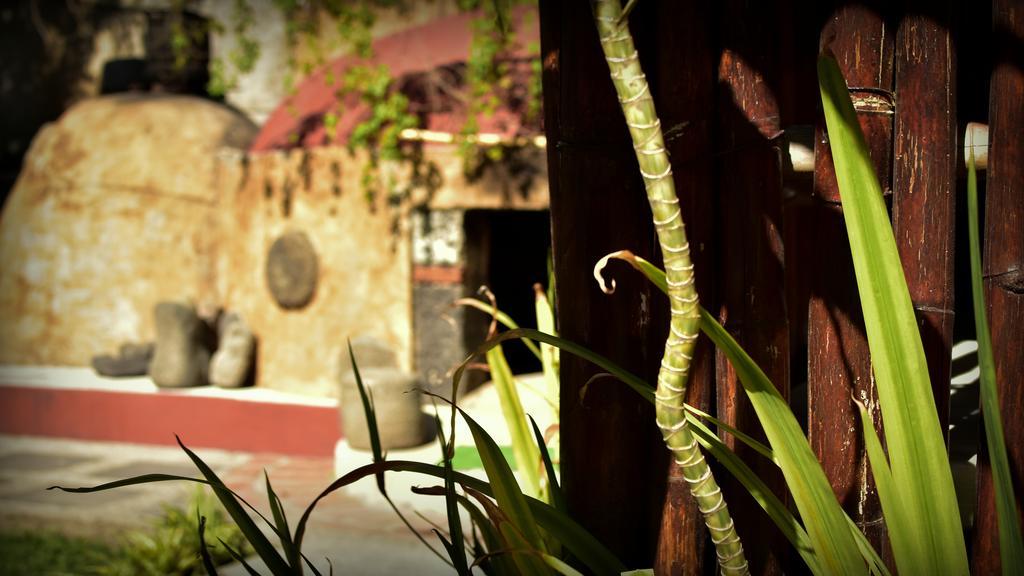 Suites La Flor Sagrada Xochitepec Ngoại thất bức ảnh