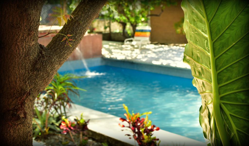 Suites La Flor Sagrada Xochitepec Ngoại thất bức ảnh