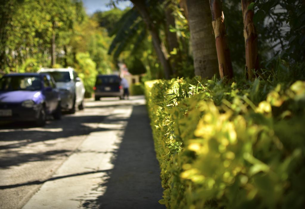 Suites La Flor Sagrada Xochitepec Ngoại thất bức ảnh